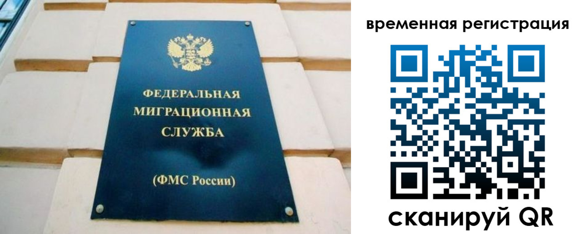 прописка гарантия в Курске